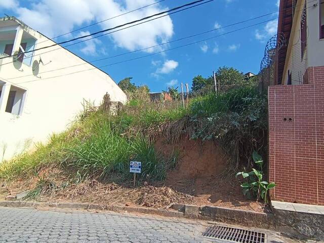 Área para Venda em Visconde do Rio Branco - 3