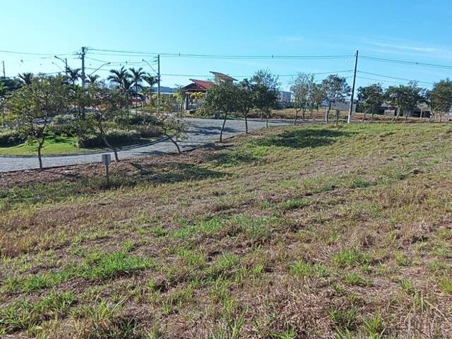 #748 - Área para Venda em Visconde do Rio Branco - MG