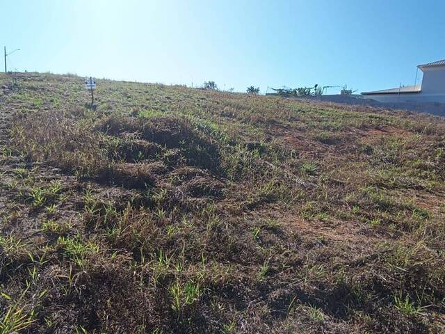 #750 - Área para Venda em Visconde do Rio Branco - MG