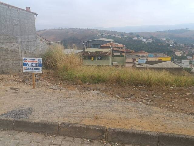 #384 - Área para Venda em Visconde do Rio Branco - MG