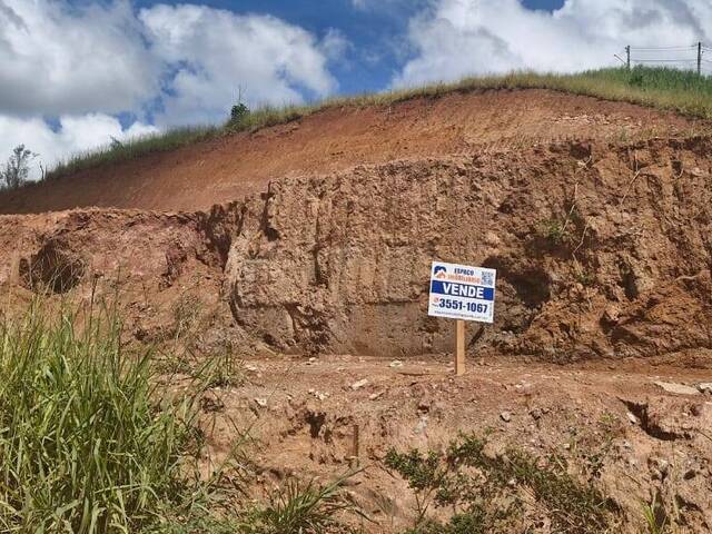 #797 - Área para Venda em Visconde do Rio Branco - MG