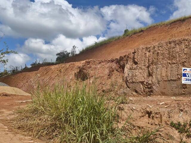 #797 - Área para Venda em Visconde do Rio Branco - MG