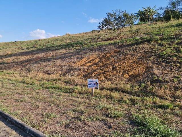 Área para Venda em Visconde do Rio Branco - 4