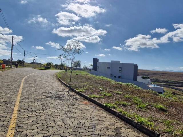 Área para Venda em Visconde do Rio Branco - 4