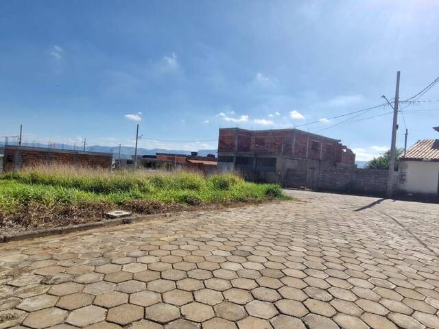 #810 - Área para Venda em Visconde do Rio Branco - MG