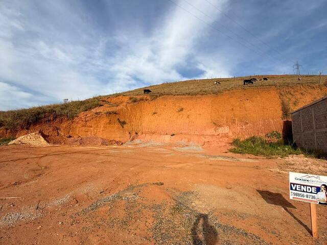 #812 - Área para Venda em Visconde do Rio Branco - MG