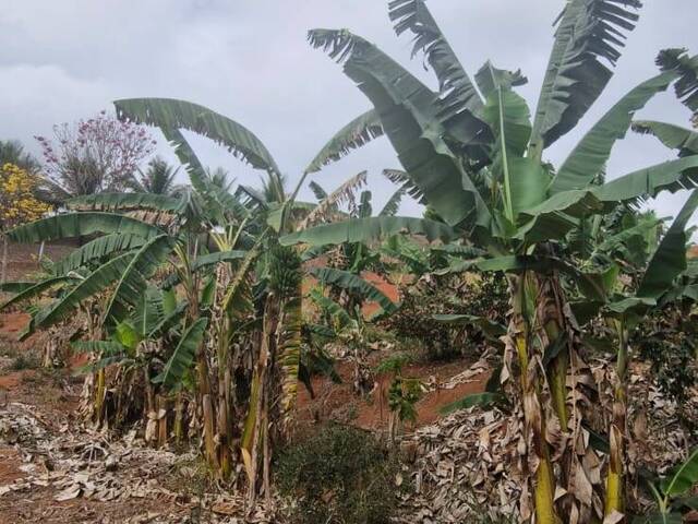 Área para Venda em Visconde do Rio Branco - 3