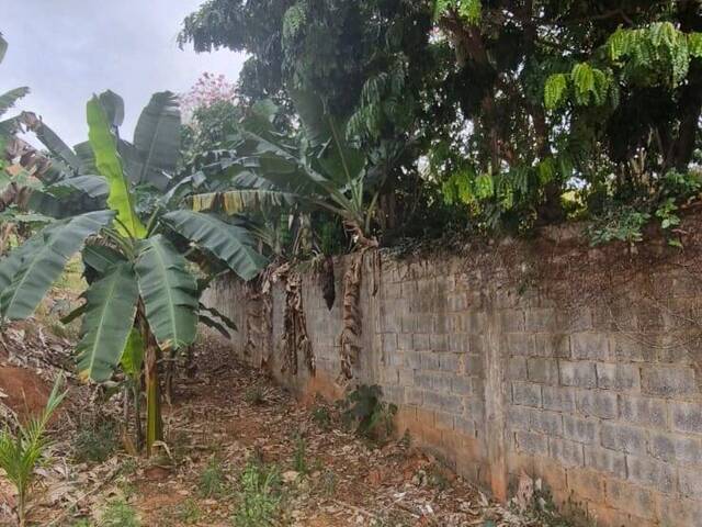 Área para Venda em Visconde do Rio Branco - 4